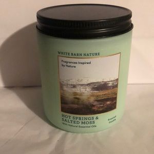Bath & Body Works White Barn Nature Hot Springs & Salted Moss single wick candle